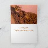 Super romantische kat grappige Valentijnsdag Feestdagen Kaart (Binnen)