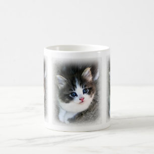 SUPER SCHATTIG Portretfoto Kitten Koffiemok