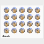 Super schattig ronde sticker (Vel)