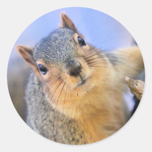 Super schattig ronde sticker (Voorkant)