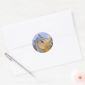 Super schattig ronde sticker (Envelop)