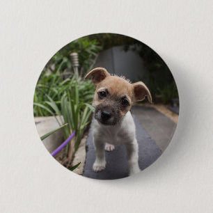 Super schattige Border Terrier pup Ronde Button 5,7 Cm
