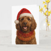 Super schattige Cockerpoo kerstkaart Kaart (Gele Bloem)