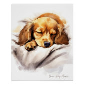 Super schattige engel slapende pup Dachshund Dog 0 Perfect Poster (Voorkant)