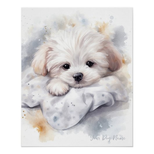 Super schattige engel slapende pup Maltezer Hond 0 Perfect Poster (Voorkant)