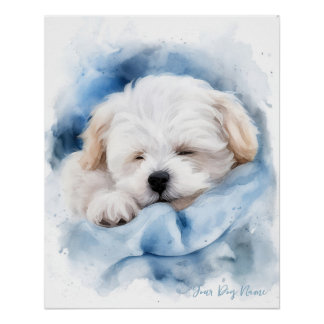 Super schattige engel slapende pup Maltezer Hond 0 Perfect Poster