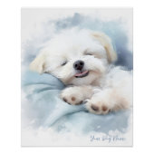 Super schattige engel slapende pup Maltezer Hond 0 Perfect Poster (Voorkant)