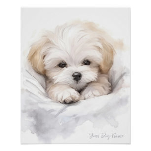 Super schattige engel slapende pup Maltezer Hond 0 Perfect Poster