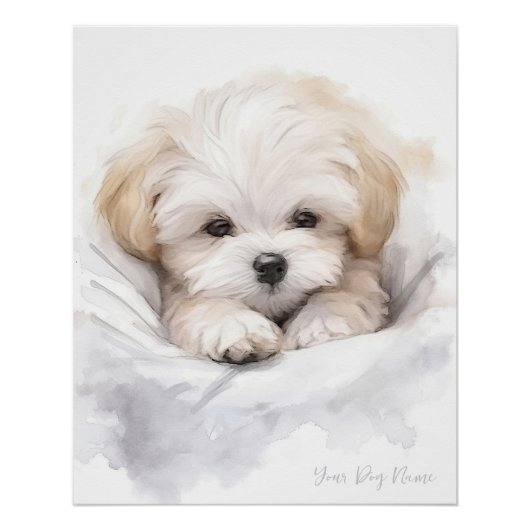 Super schattige engel slapende pup Maltezer Hond 0 Perfect Poster (Voorkant)