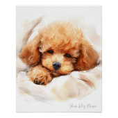Super schattige engel slapende pup Poodle Dog 003 Perfect Poster (Voorkant)