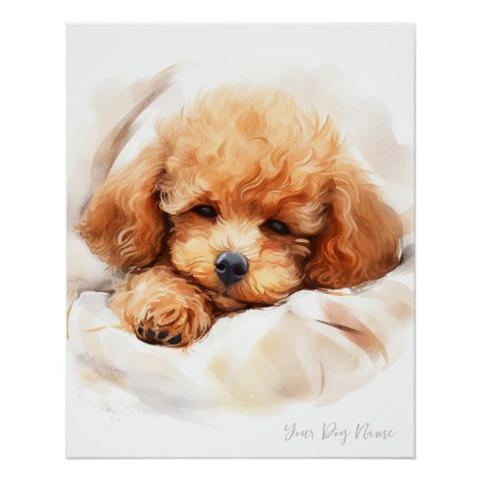 Super schattige engel slapende pup Poodle Dog 003 Perfect Poster (Voorkant)