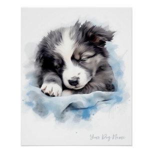 Super schattige engel slapende puppy Border Collie Perfect Poster