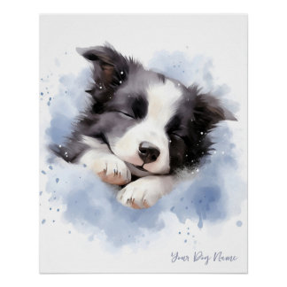 Super schattige engel slapende puppy Border Collie Perfect Poster