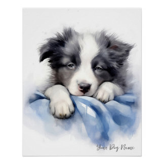 Super schattige engel slapende puppy Border Collie Perfect Poster