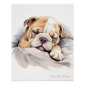 Super schattige engel slapende puppy Bulldog 003 - Perfect Poster (Voorkant)
