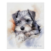 Super schattige engel slapende puppy Schnauzer Hon Perfect Poster (Voorkant)