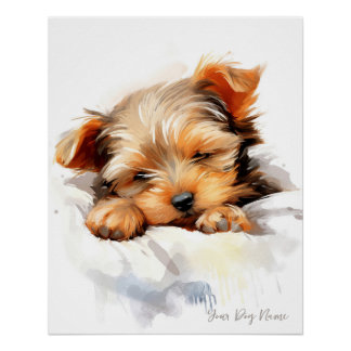 Super schattige engel slapende puppy Yorkshire Ter Perfect Poster