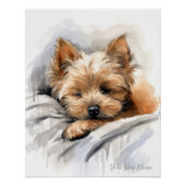 Super schattige engel slapende puppy Yorkshire Ter Perfect Poster (Voorkant)