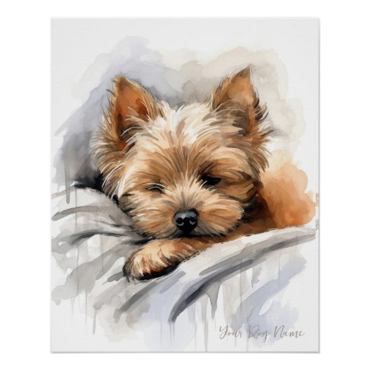 Super schattige engel slapende puppy Yorkshire Ter Perfect Poster (Voorkant)
