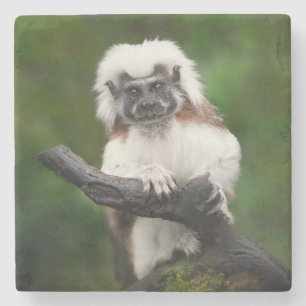 Super Schattige katoenen top tamarin primaat Stenen Onderzetter