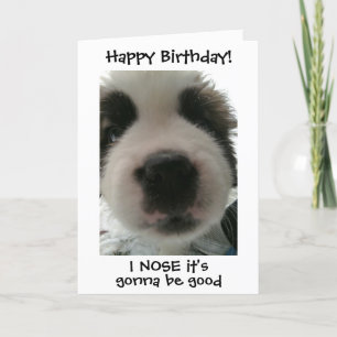 Super Schattige Puppy Ik Denk Dat Het Je Verjaarda Kaart
