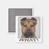 Super schattige puppy magneet (Voorkant / Achterkant)