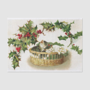 Super Schattige Slapen Kerstmis Kittens in een Man Tissuepapier