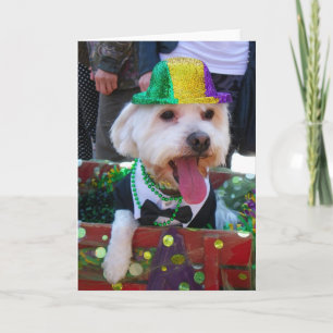 Super Schattige Wenskaart! Kaart