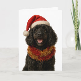 Super schattige zwarte Cockerpoo kerstkaart Kaart