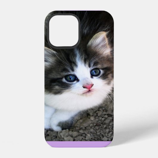 SUPER SCHATTIGE Zwerfkatje iPhone Hoesje (Achterkant)