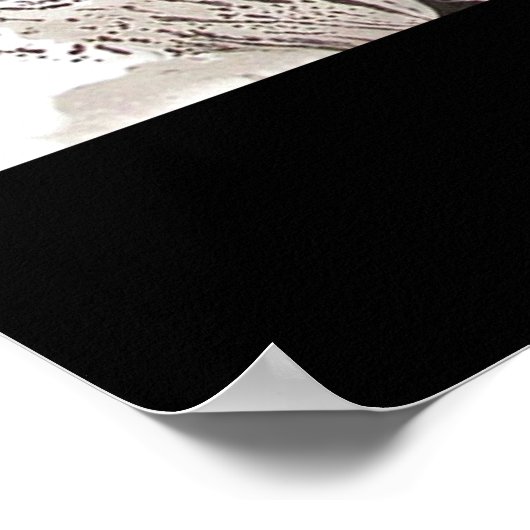 SUPER SILVER HAZE POSTER (Hoek)