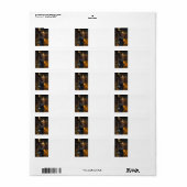 Super Soldier Adresetiketten Etiket (Full Sheet)