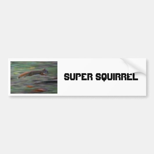 SUPER SQUIRREL!!!! BUMPERSTICKER (Voorkant)