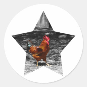 Super Star Chicken Ronde Sticker
