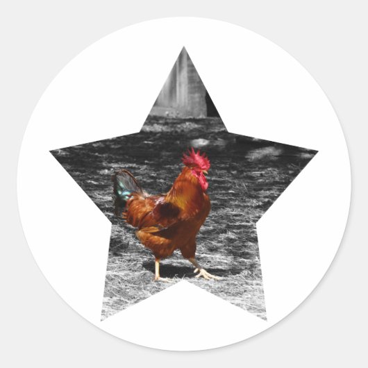 Super Star Kip Ronde Sticker (Voorkant)