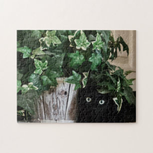 Super Stealth Mode Puzzel, 28 x 35,5 cm, 252 stukk Legpuzzel