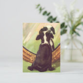 Super Sweet Baby Boston Terrier Briefkaart (Staand voorkant)