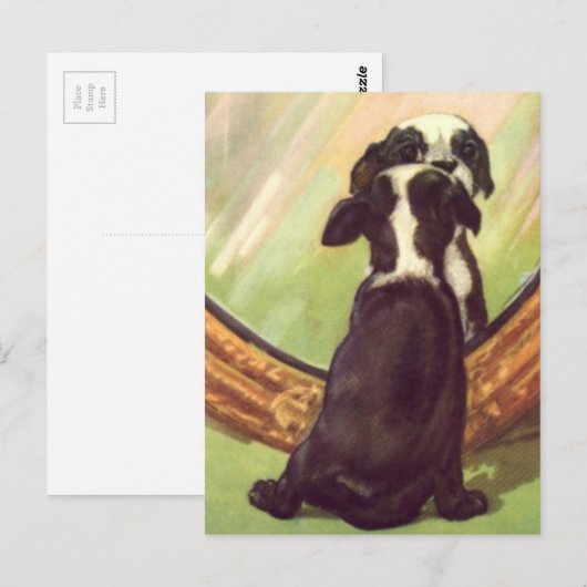 Super Sweet Baby Boston Terrier Briefkaart (Voorkant / Achterkant)