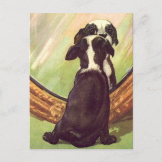 Super Sweet Baby Boston Terrier Briefkaart (Voorkant)