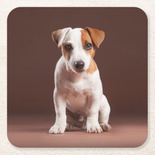 Super Sweet Puppy Kartonnen Onderzetters