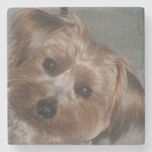 Super Sweet Yorkie Stone Onderzetter