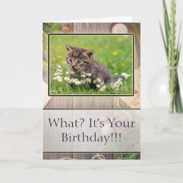 Super Verrast Happy Birthday Kitten Fotokaart Kaart