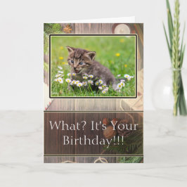 Super Verrast Happy Birthday Kitten Fotokaart Kaart
