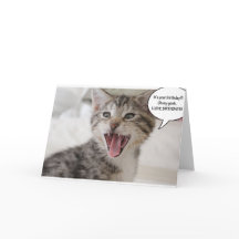 Super Verrast Verjaardag Kitten!