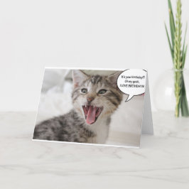 Super Verrast Verjaardag Kitten! Kaart