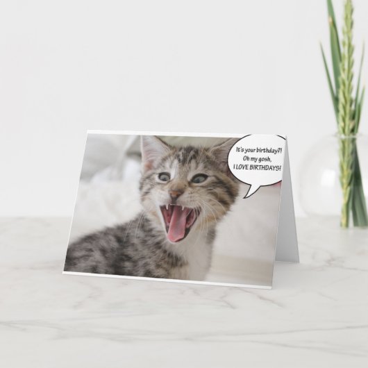 Super Verrast Verjaardag Kitten! Kaart (Voorkant)