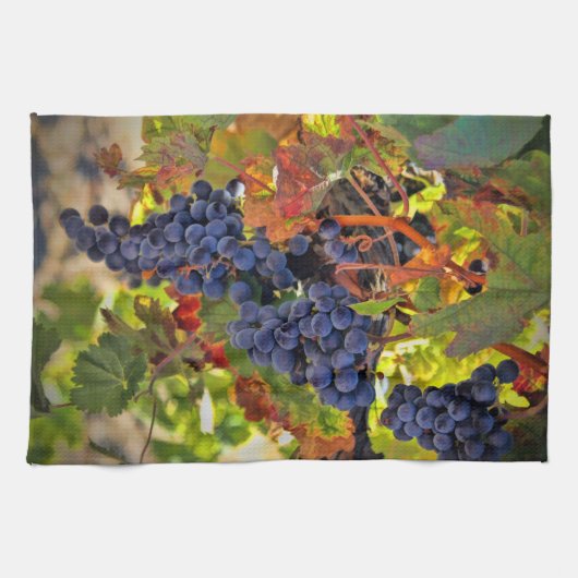 Super wijnbouw Thmed Kitchen Towel Theedoek (Horizontaal)