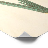 Superb Corn-Flag Poster (Hoek)