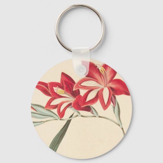 Superb Corn-Flag Sleutelhanger (Voorkant)