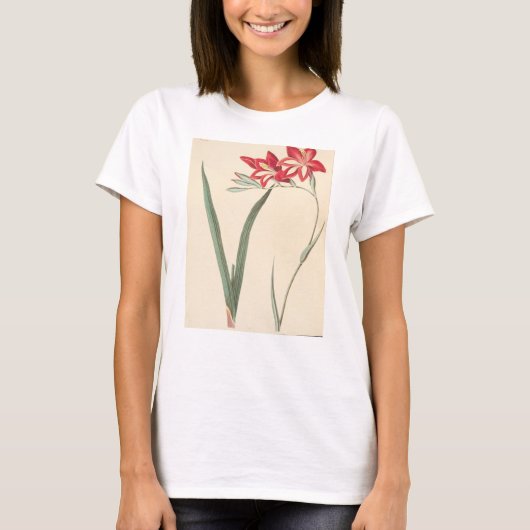 Superb Corn-Flag T-shirt (Voorkant)